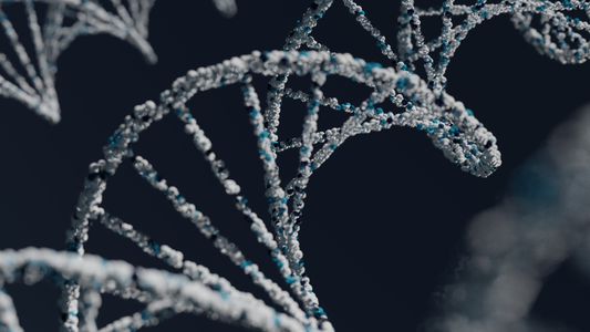 Apoe4 - the Ancestral allele