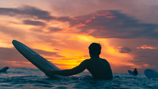 Fucosylated Chondroitin Sulfate from Sea Cucumber for Healthy Aging