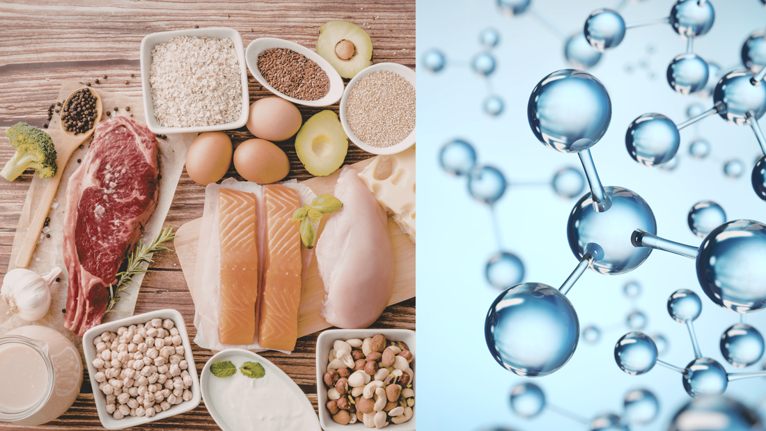 What are the most important nutrients in the diet?